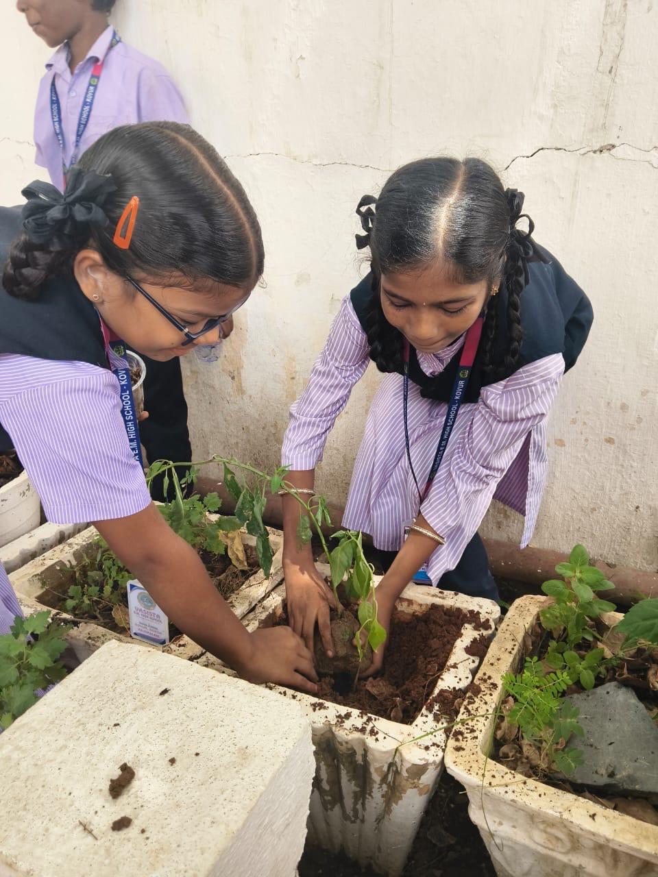 Students planting saplings together
